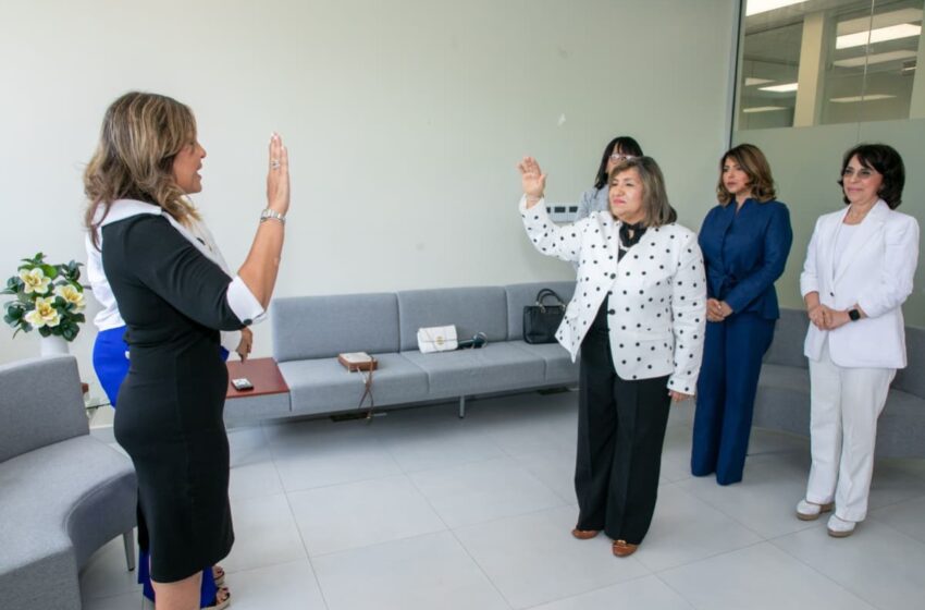 Spinsy Casino: seguridad, variedad y tecnología en juegos en línea