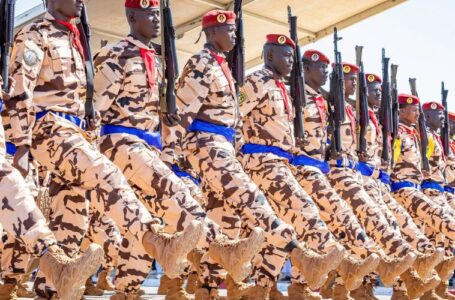 Fuerza antipandillas de la ONU llegará a Haití entre abril y octubre