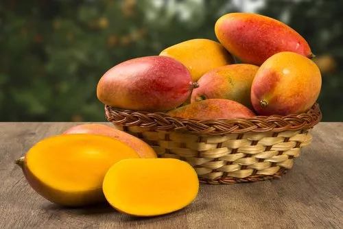  Mango dominicano refuerza exportaciones ante retos climáticos